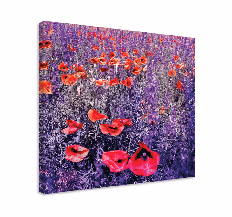 Leinwandbild leuchtendes mohnfeld - TenStickers