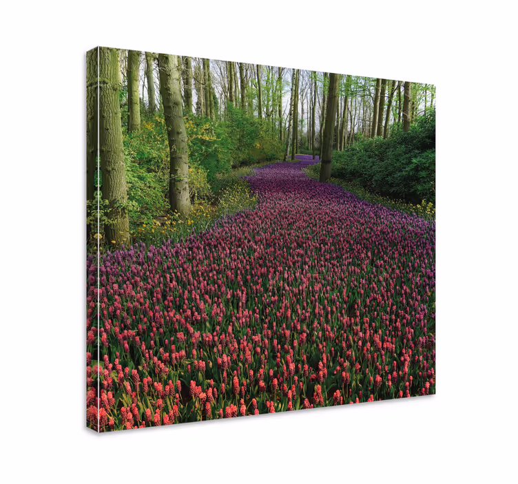 Leinwandbild blühender blumenweg - TenStickers