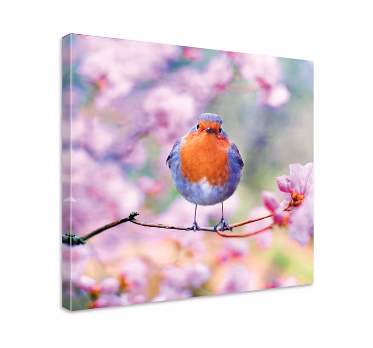 Leinwandbild Blume Kleine vögel auf einem blühenden baum - TenStickers