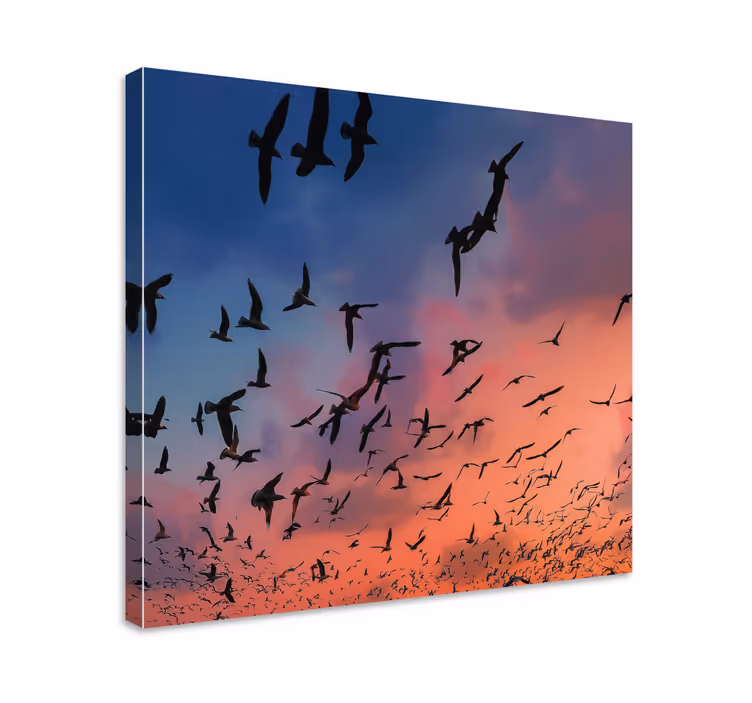 Leinwandbild Blume Vögel fliegen am himmel - TenStickers