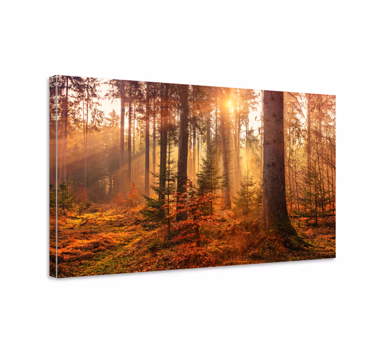 Wandbilder Landschaft Perfekter herbstwald - TenStickers