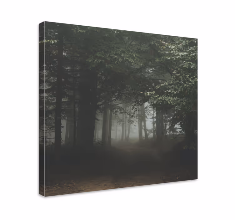 Wandbilder landschaft verhangener waldweg - TenStickers