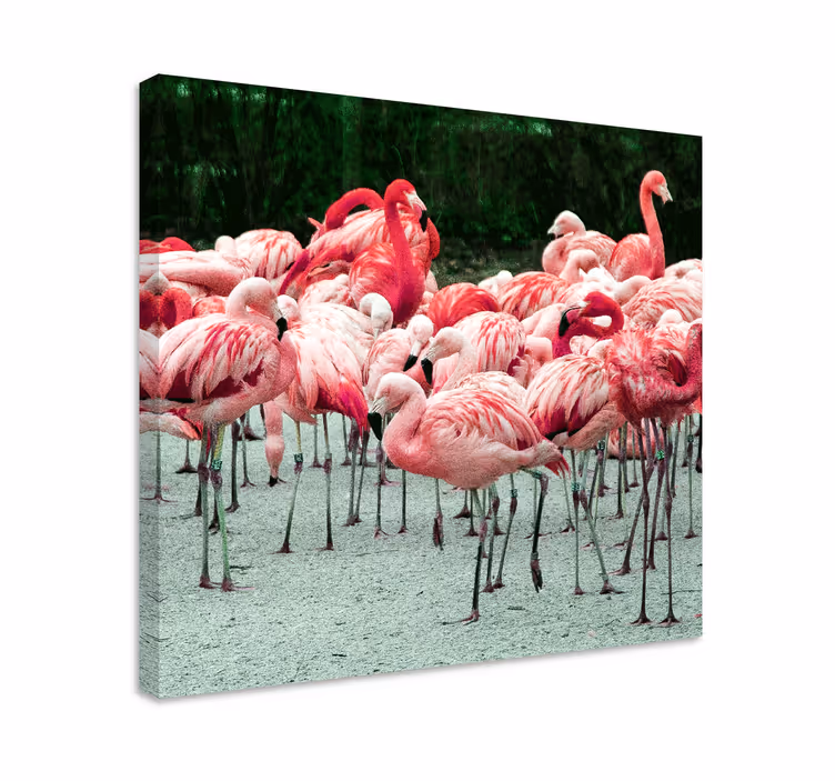 Leinwandbild vogel flamingoschwarm - TenStickers