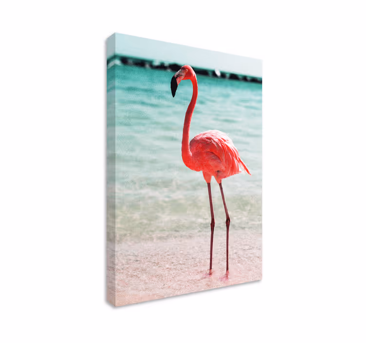 Leinwandbild vogel elegante flamingo-pose - TenStickers