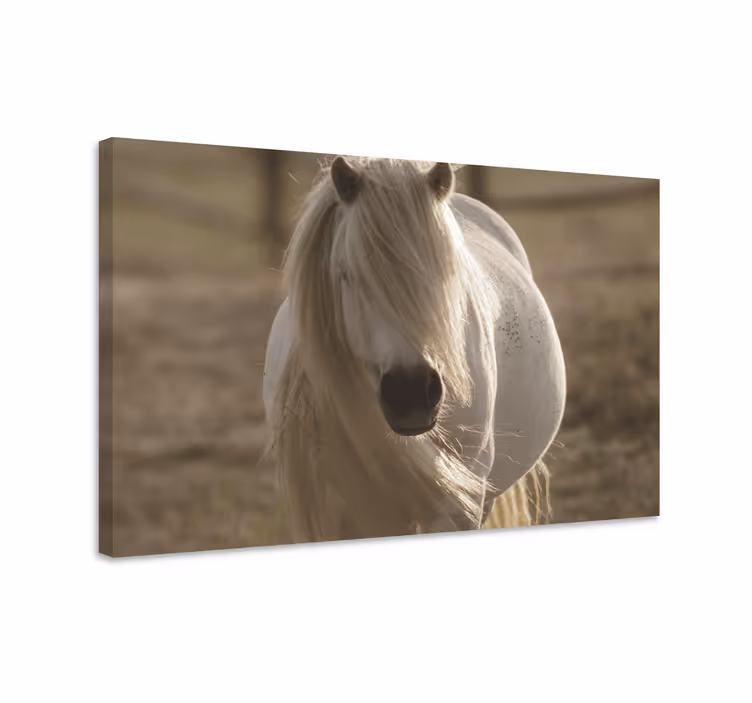 Pferde Leinwand majestätisches pferdeporträt - TenStickers