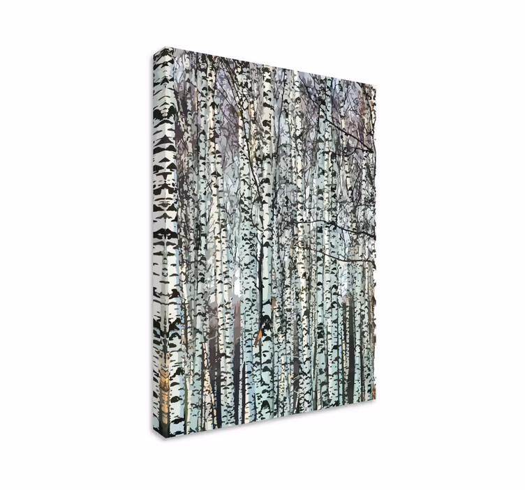 Wandbild Baum birkenwald gelassenheit - TenStickers