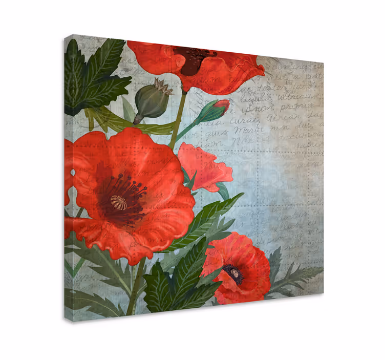 Leinwandbild prächtige rote mohnblumen - TenStickers