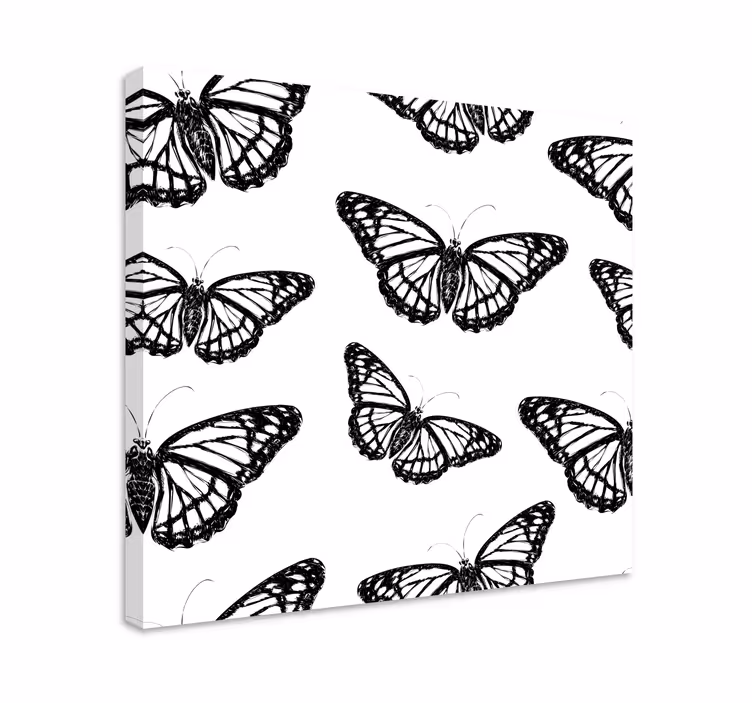 Wandbild Wohnzimmer Schwarz-weißer schmetterlingsflügel - TenStickers