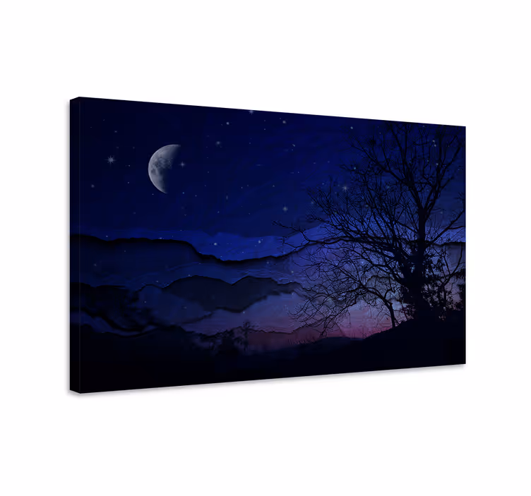 Wandbilder landschaft nächtliche himmelsruhe - TenStickers