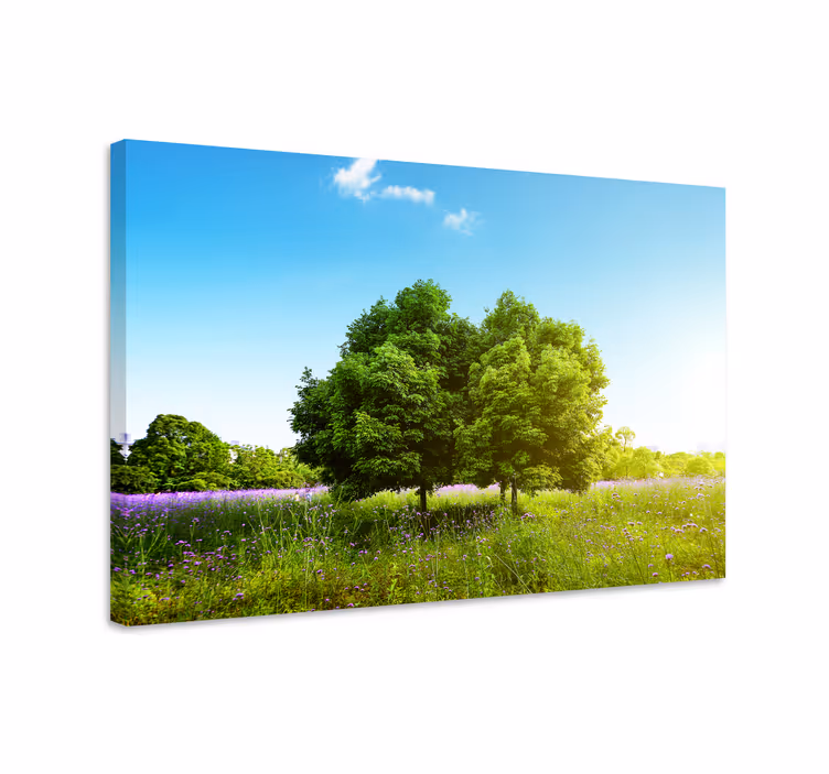 Wandbild baum ruhige grüne szenerie - TenStickers