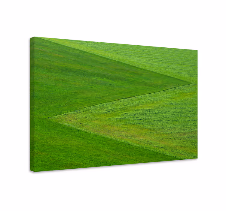 Wandbilder landschaft Üppiges grünes terrain - TenStickers