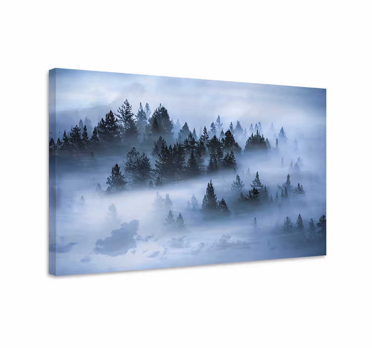 Wandbilder landschaft nebeliger kiefernwald - TenStickers
