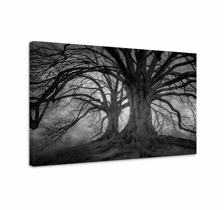 Wandbild baum geheimnisvolle blattlose bäume - TenStickers