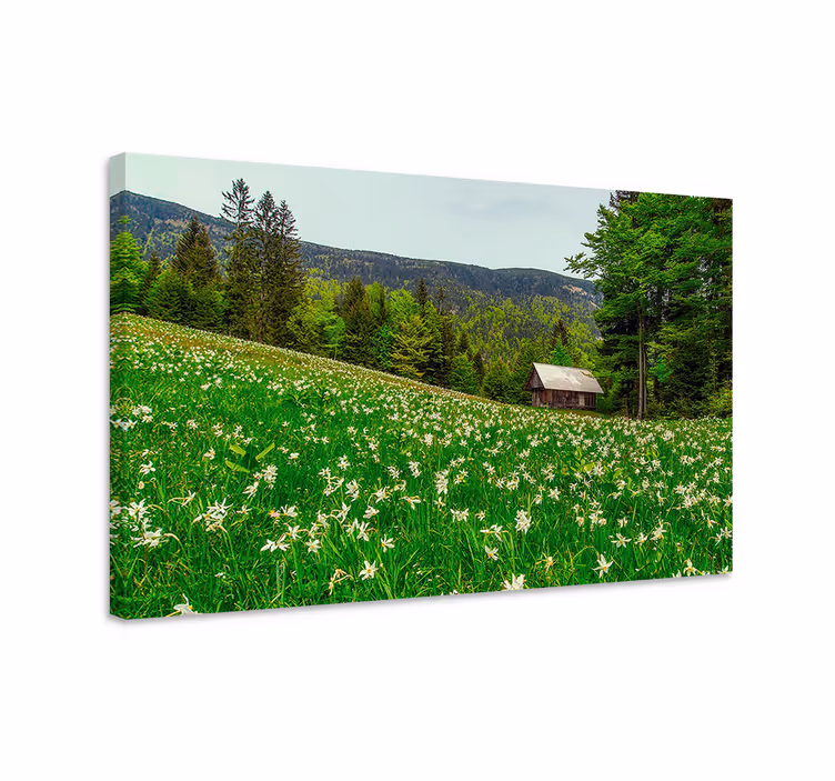 Wandbilder landschaft charmante landhaus-hütte - TenStickers