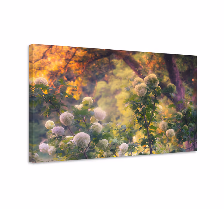 Leinwandbild blumenwiese in voller blüte - TenStickers