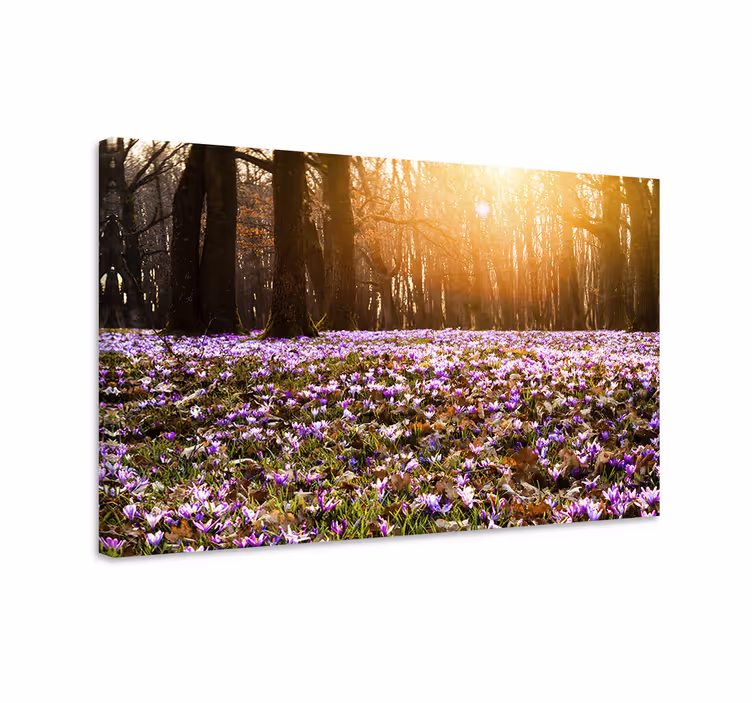 Leinwandbild blühende frühlingslandschaft - TenStickers