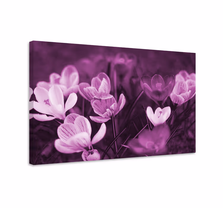 Leinwandbild blühendes blumenarrangement - TenStickers