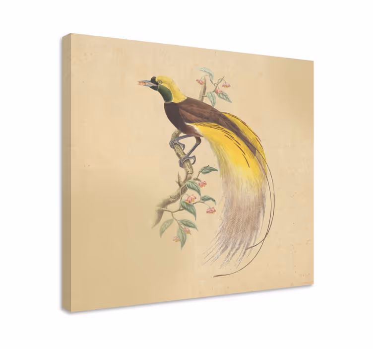 Leinwandbild Vogel exotische sitzen - TenStickers
