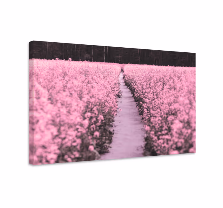 Leinwandbild Blume Elegante wiese mit rosa blumen - TenStickers