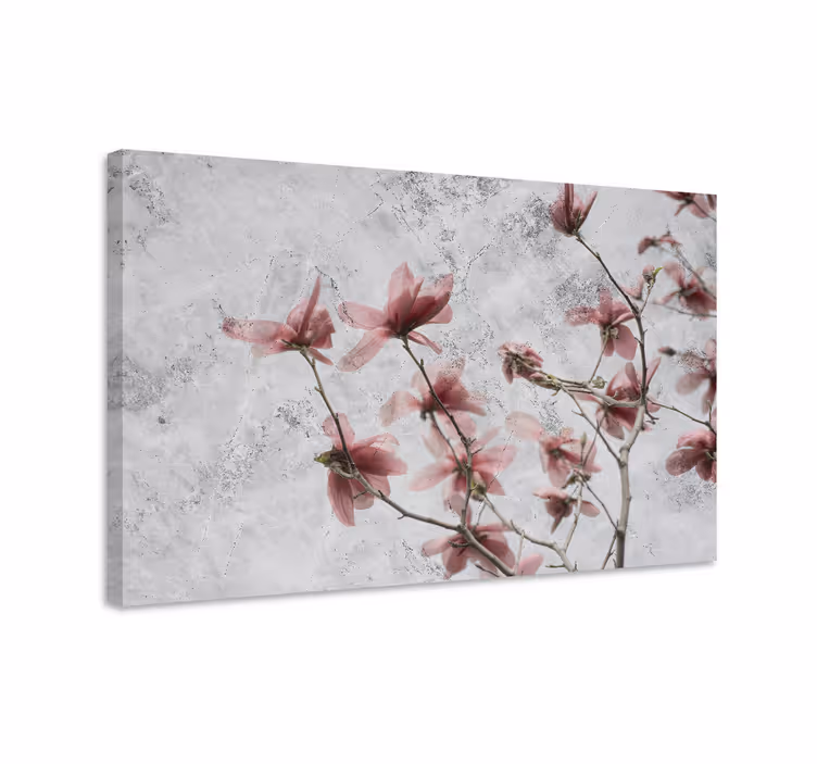 Leinwandbild sanfte rosa blüten - TenStickers