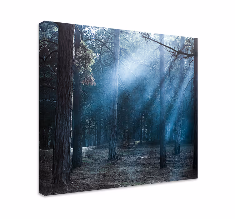 Wandbilder landschaft nebliger waldweg - TenStickers