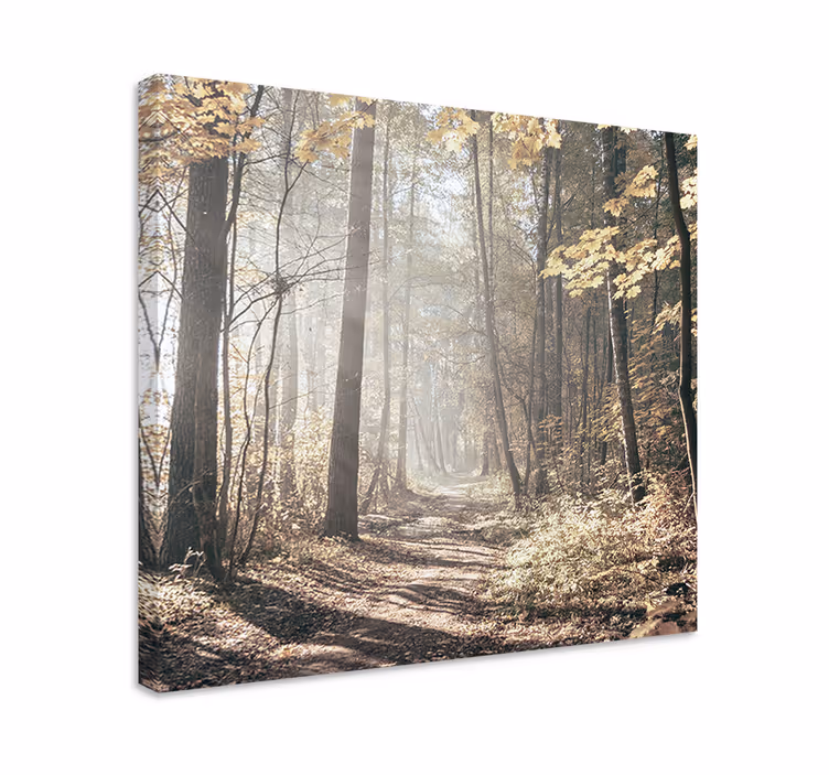 Wandbilder landschaft nebelbedeckter pfad - TenStickers
