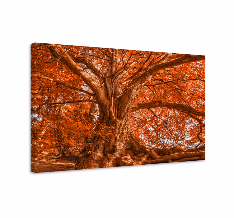Wandbild baum majestätisches herbstdach - TenStickers