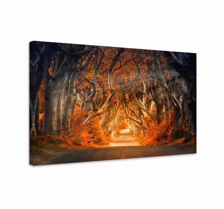 Wandbilder landschaft geheimnisvoller herbstweg - TenStickers