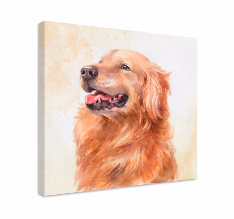 Wandbilder hunde golden retriever illustration - TenStickers