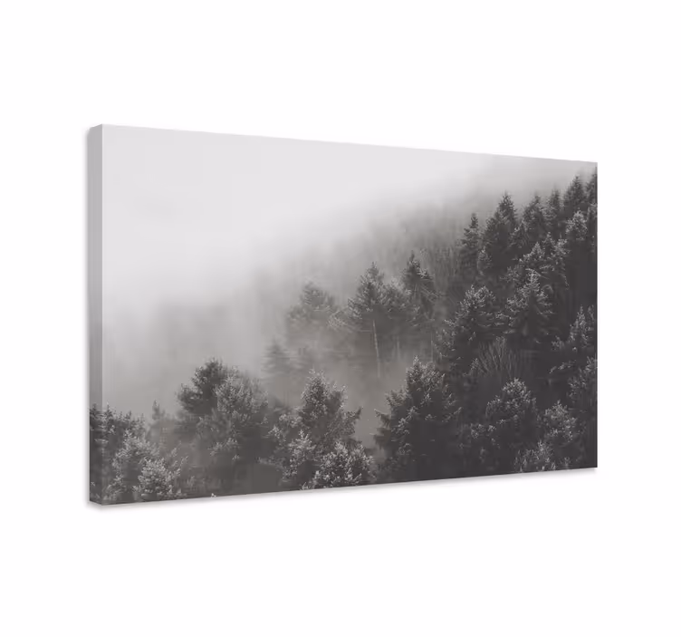 3D Wandbilder Wald mit weißen kiefern - TenStickers