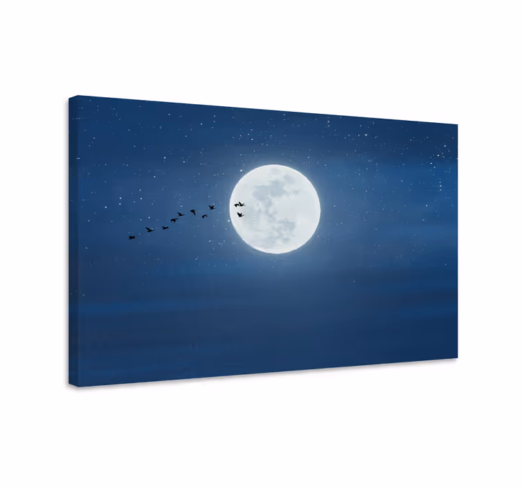 Wandbilder landschaft mondlichtflug - TenStickers