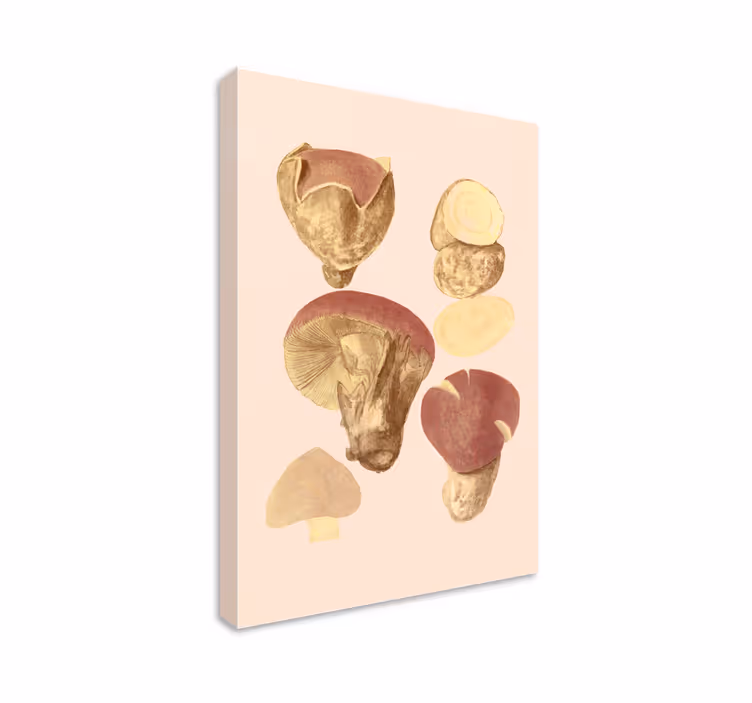 Leinwandbild pilzkollektion - TenStickers