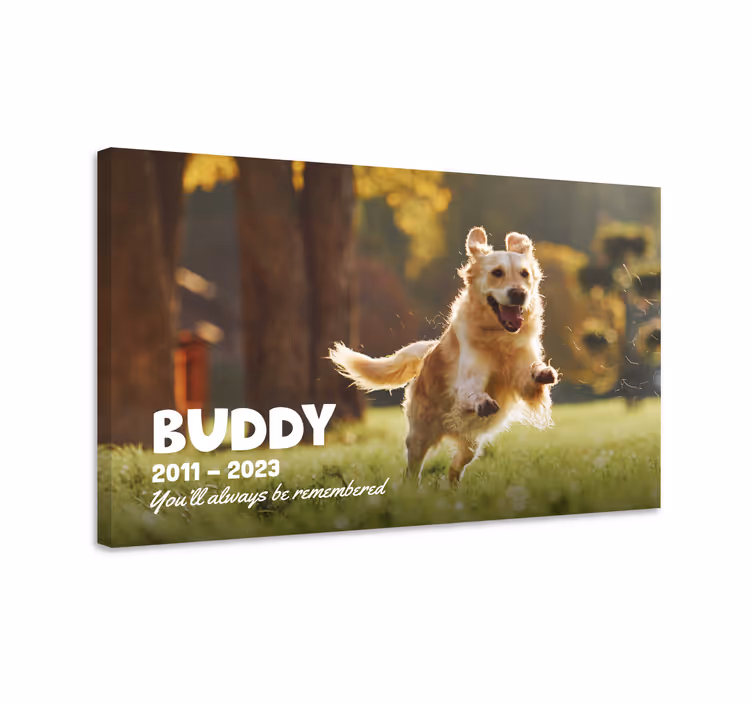 Wandbild Wohnzimmer hier liegt ein treuer Freund,Ein treuer Begle - TenStickers