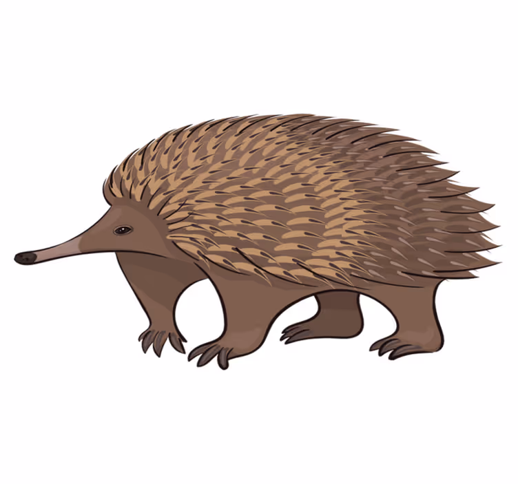 Vinyl teppich tiere mit freundlichem igel charakter - TenStickers