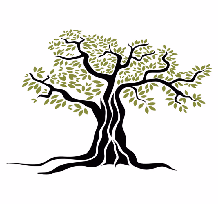 Vinyl teppich blumen olivenbaum mit grünen blättern - TenStickers