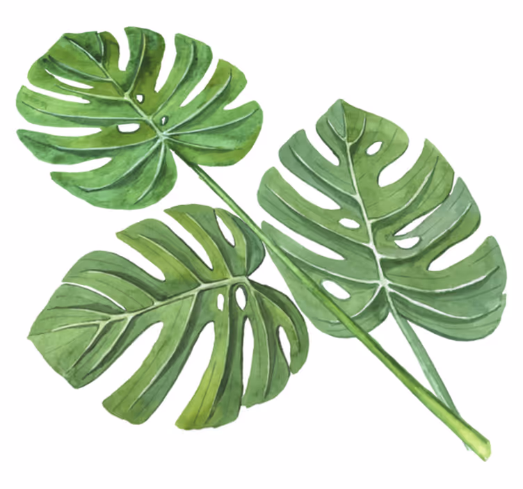 Vinyl teppich blumen mit monstera aquarellblättern - TenStickers