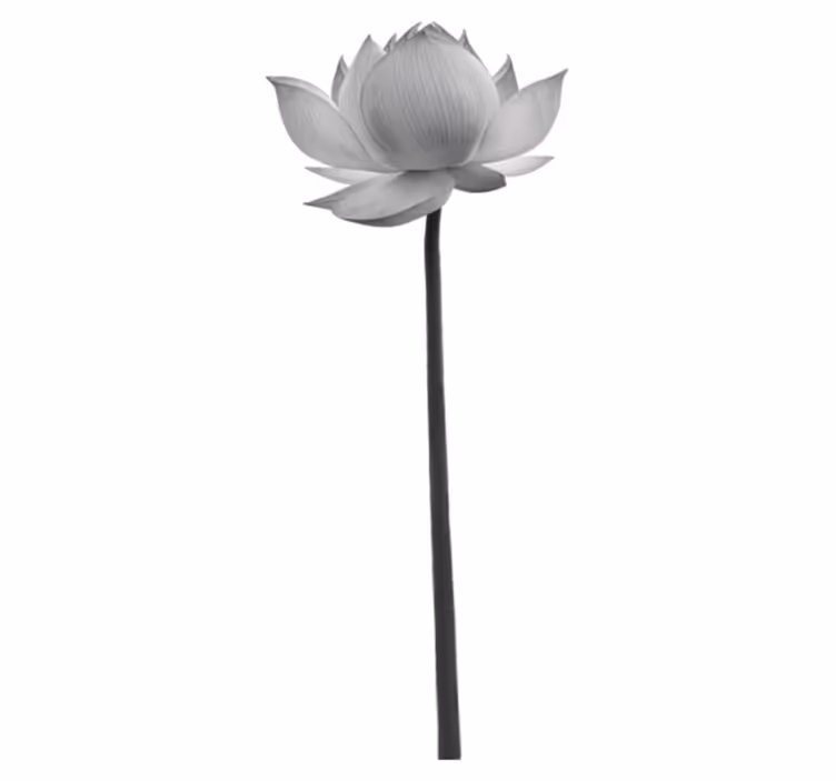 Vinyl teppich schlafzimmer lotusblume - TenStickers