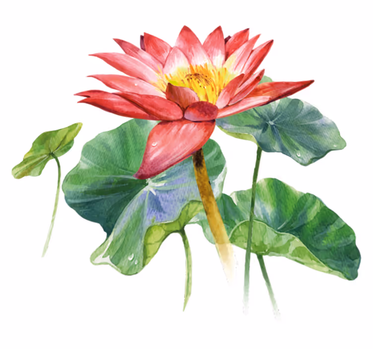 Vinyl teppich schlafzimmer lotus aquarell illusion - TenStickers