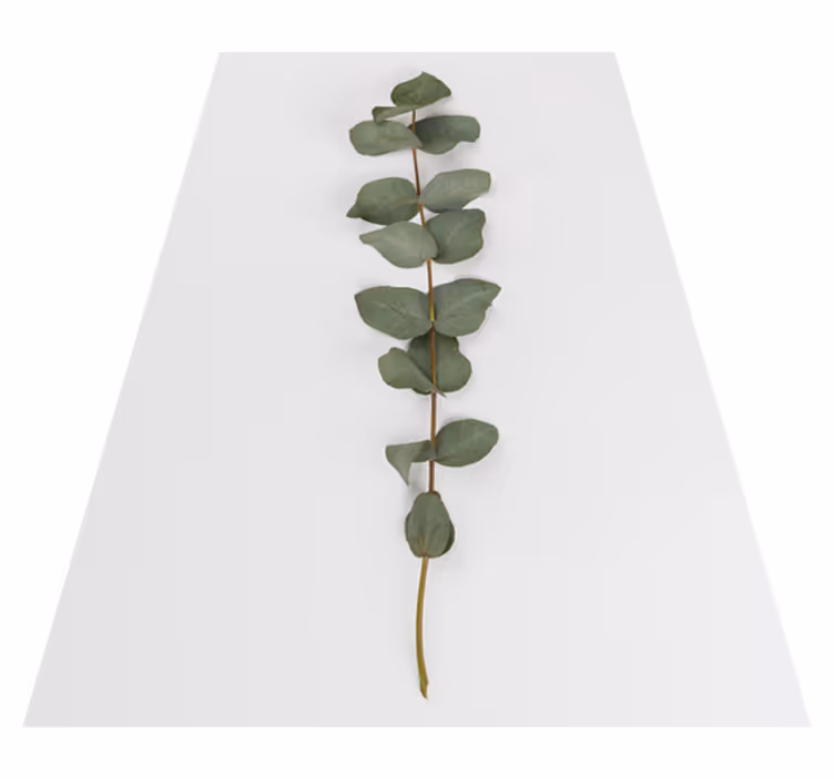 Vinyl teppich blumen mit eukalyptusblättern - TenStickers