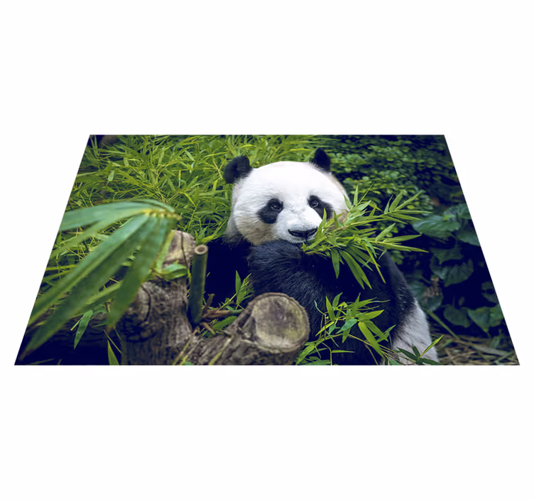 Vinyl teppich grün mit süßem panda design - TenStickers