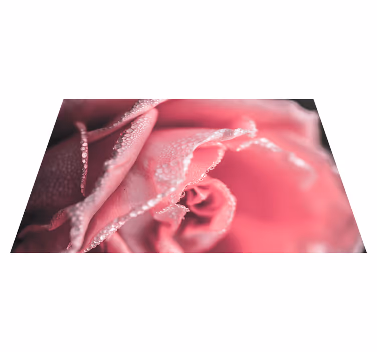 Vinyl Teppich Blumen taufrische rosenblätter - TenStickers