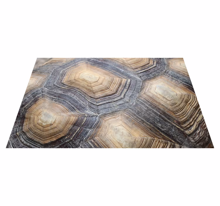 Vinylteppich Schildkröten Schildkrötenpanzer - TenStickers