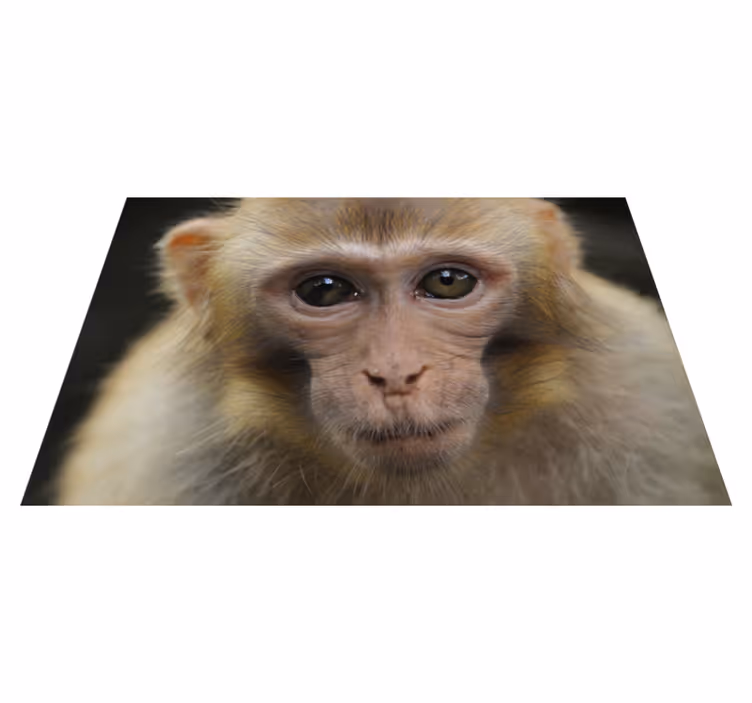Vinylteppich Tiere Realistischer affe - TenStickers