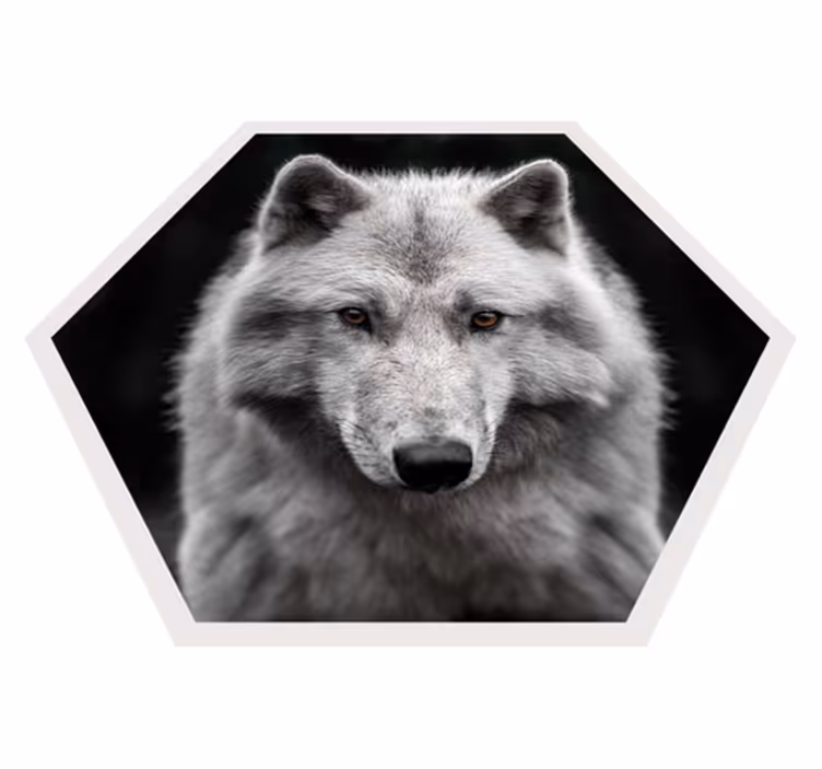 Vinyl Teppich Tiere wolfsporträt - TenStickers