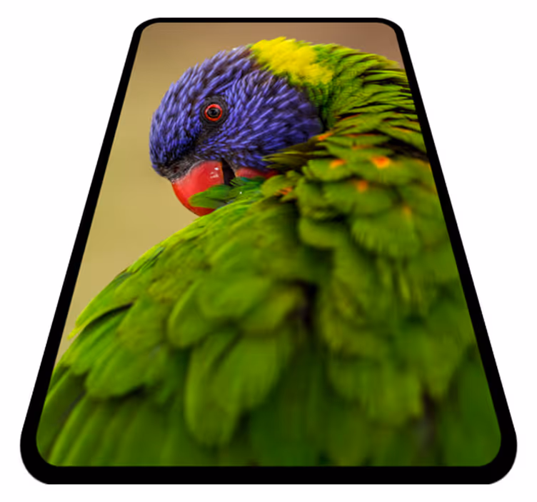 Vinyl Teppich Tiere buntes papageienporträt - TenStickers