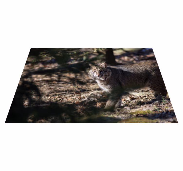 Vinyl teppich tiere mit wildkatzenmotiv - TenStickers