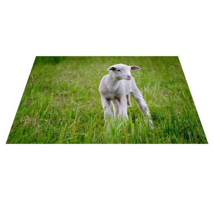 Vinylteppich Tiere Tier niedliches lamm - TenStickers