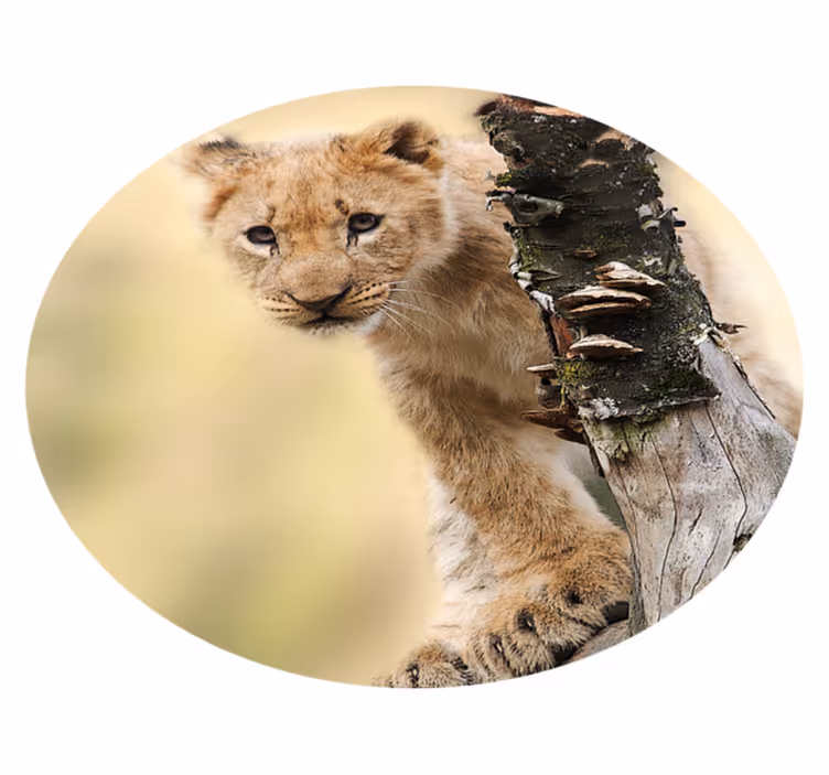 Vinyl Teppich Tiermuster neugieriges löwenjunges - TenStickers