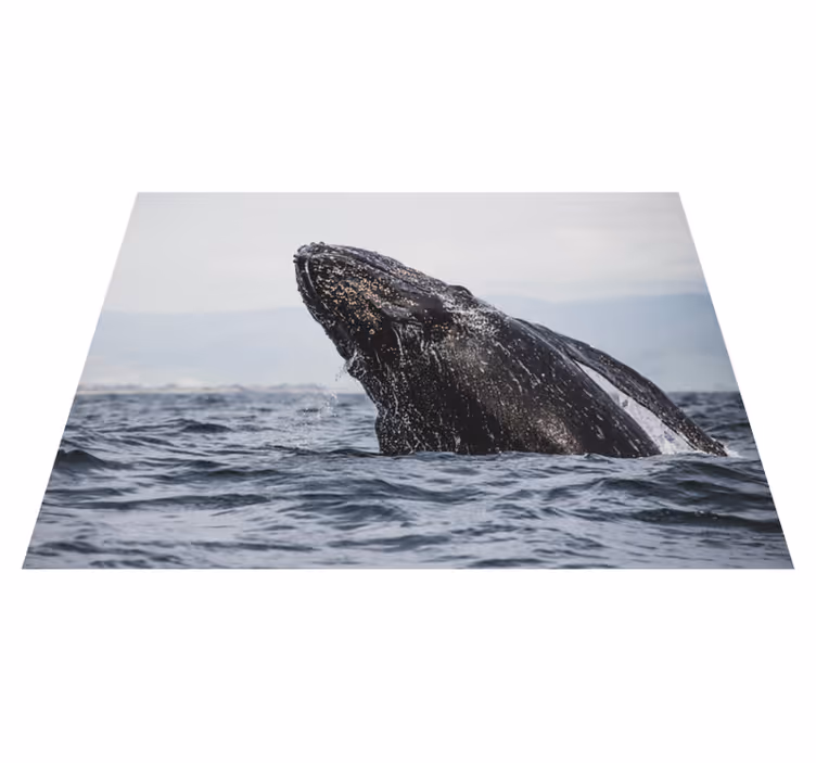 Vinyl Teppich Natur majestätischer walsprung - TenStickers