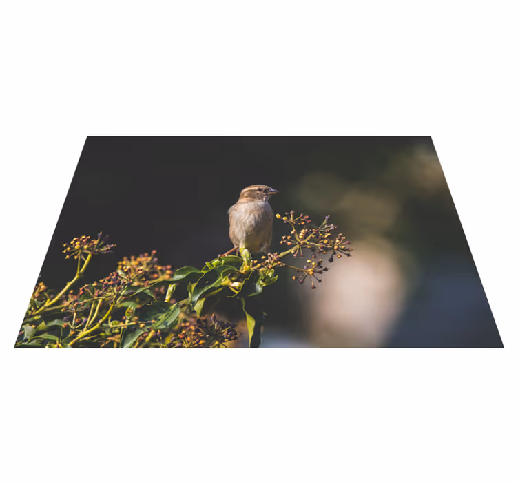Vinyl Teppich Natur charmanter vogel thront - TenStickers